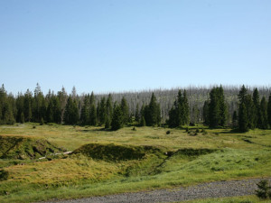 Rozebírání a konzervace slavné Roklanské chaty v srdci Šumavy jen tak nezačne