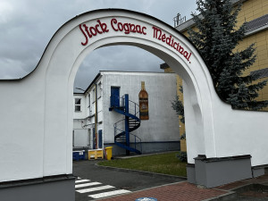 Češi objevili kouzlo RTD koktejlů v plechovce. Letos jich v Plzni vyrobí 14 milionů kusů