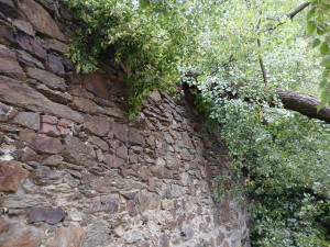 Odborníci už vědí, proč spadla statná lípa v parku přímo na klášterní zeď