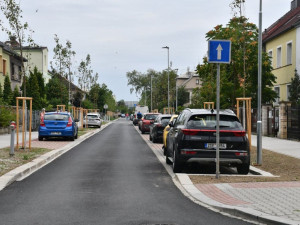 Ulice Kapitána Jaroše se opravovala od loňského podzimu. Staré stromy nahradily mladé stromky