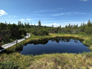 Objevte malý šumavský Yellowstone. Úžasný výlet k jezírkům v Bavorském lese si užijete bez davů