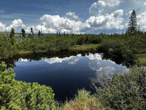 Objevte malý šumavský Yellowstone. Úžasný výlet k jezírkům v Bavorském lese si užijete bez davů