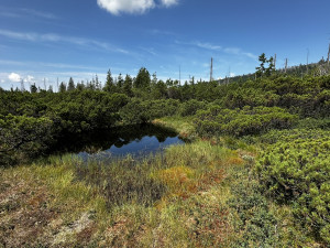 Objevte malý šumavský Yellowstone. Úžasný výlet k jezírkům v Bavorském lese si užijete bez davů