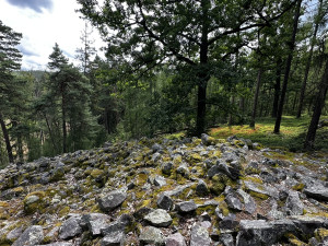 Na romantickou Jindřichovu skálu i ke zřícenině hradu Valdek. Úžasný výlet v srdci Brd zvládnou i děti
