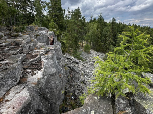 Na romantickou Jindřichovu skálu i ke zřícenině hradu Valdek. Úžasný výlet v srdci Brd zvládnou i děti