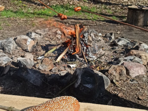 Veřejné ohniště můžete najít také na Božkovském ostrově