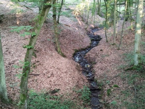 Opravená lesní nádrž v rezervaci Zábělá pomůže napájet tůně v chráněném území