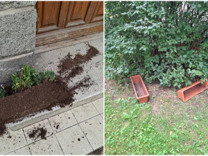 Záhada mizejících květináčů. Vandalové rozhazují rostliny po okolí a nosí lidem cizí truhlíky