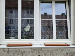 Záhada mizejících květináčů. Vandalové rozhazují rostliny po okolí nebo nosí lidem cizí truhlíky