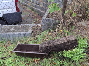 Záhada mizejících květináčů. Vandalové rozhazují rostliny po okolí nebo nosí lidem cizí truhlíky