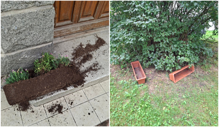 Záhada mizejících květináčů. Vandalové rozhazují rostliny po okolí nebo nosí lidem cizí truhlíky