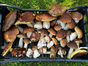 foto: Richard Beneš