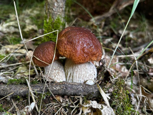 foto: Richard Beneš