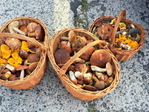 Příspěvek uživatele z webu nahouby.cz