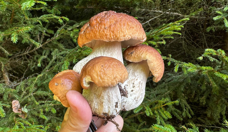 foto: Richard Beneš