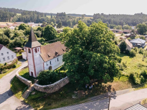 Pamatuje ještě třicetiletou válku. Kostelní dub teď usiluje o cenu v anketě Strom roku