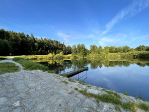 Rybník Nováček před začátkem prací.