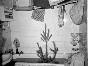 Photo © Libuše Jarcovjáková