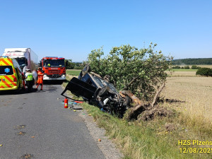 Osobák přerazil strom