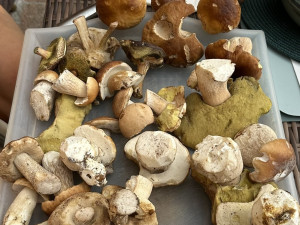 Poslední úlovek z nedělního odpoledne bude na nějakou dobu opravdu tím posledním