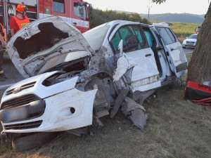 Auto vyletělo ze silnice a narazilo do stromu. Vážné zranění hlavy utrpěl jeden pasažér
