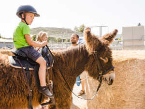 Země živitelka začíná už ve čtvrtek. Vyhrajte volné vstupenky