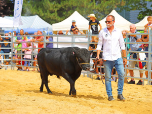 Země živitelka začíná už ve čtvrtek. Vyhrajte volné vstupenky