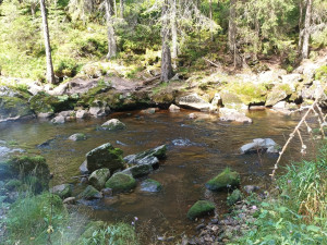 Žena si při túře na Šumavě poranila nohu, záchranáři ji museli přenést přes řeku