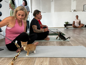 Lenka Nová si svého kocourka na lekci jógy vybrala