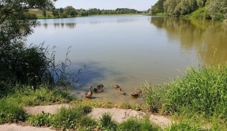 Ve vodní nádrži Brušperk nadále platí zákaz koupání kvůli sinicím