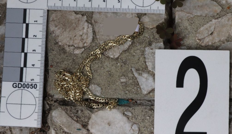 Zloděj se ve zlatnictví přetahoval s majitelem, pak přespal v cizím bytě