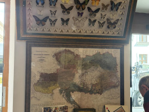 Jediné Triatlonové muzeum na světě je v Plzni, má i trenýrky slavného sportovce