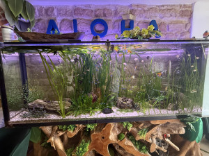 Jediné Triatlonové muzeum na světě je v Plzni, má i trenýrky slavného sportovce