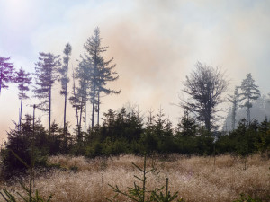 Ve vojenském prostoru v Brdech vypukl požár, hasiči využili i vrtulník