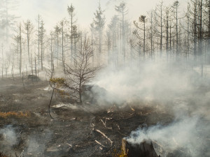 Ve vojenském prostoru v Brdech vypukl požár, hasiči využili i vrtulník