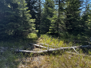 Magická stezka jádrovým územím parku