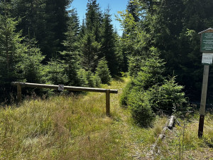 Zde vstoupíte na magickou stezku při zpáteční cestě ze silnice vedoucí z Poledníku na Modravu
