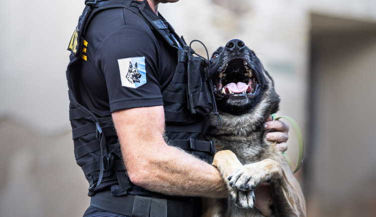 Policejní hrdinové: psi Dronko, Daphne a Ragnar v srpnu zasahovali u 4 případů