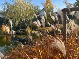 U ledňáčka, Kornatice