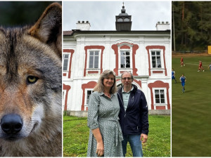 SRPEN 2025: Kauza šumavských vlků, snaha nadšenců o opravu zámku i fotbalový bizár