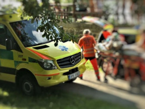 Senior prodělal mrtvici a spadl z břehu přímo do řeky Radbuzy