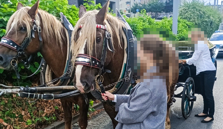 Střet kočáru se dvěma auty, kuriozní nehoda se odehrála v centru města