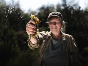 Šumava jsou hory vod a mokřadů, miluji tuhle krajinu, říká oceňovaná odbornice