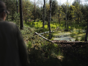 Šumava jsou hory vod a mokřadů, miluji tuhle krajinu, říká oceňovaná odbornice