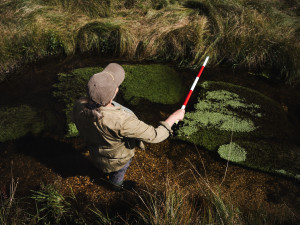 Šumava jsou hory vod a mokřadů, miluji tuhle krajinu, říká oceňovaná odbornice