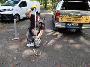 Vyprostit živého ježka z kovové pasti bylo těžší než vyřešit záhadu hlavolamu