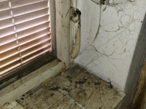 Všudypřítomná špína a myší bobky, inspekce uzavřela výrobnu jídel pro rozvoz