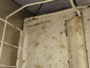 Všudypřítomná špína a myší bobky, inspekce uzavřela výrobnu jídel pro rozvoz