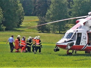 Agresivní býk na poli napadl staršího muže a způsobil mu vážné zranění