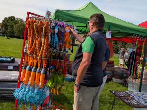 Akce jako Psí den pomáhají psům z útulku najít nový domov